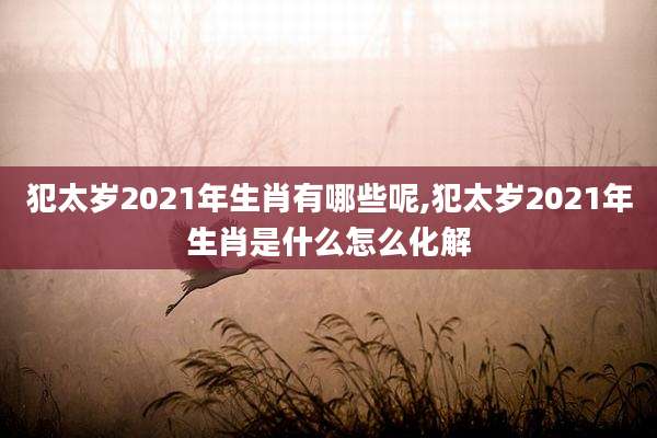 犯太岁2021年生肖有哪些呢,犯太岁2021年生肖是什么怎么化解