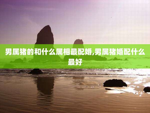 男属猪的和什么属相最配婚,男属猪婚配什么最好
