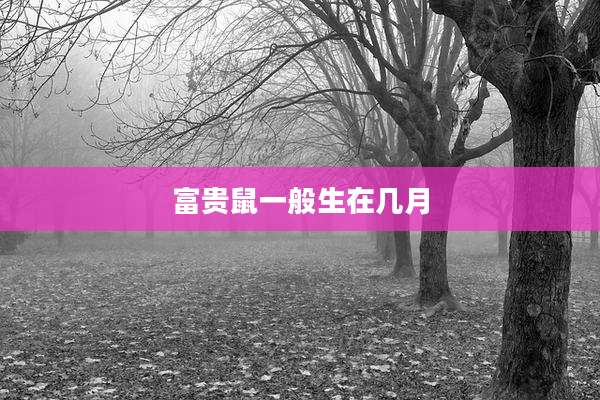 富贵鼠一般生在几月