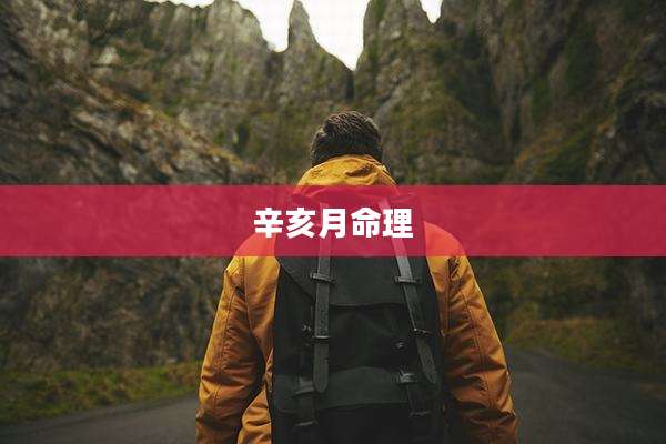 辛亥月命理