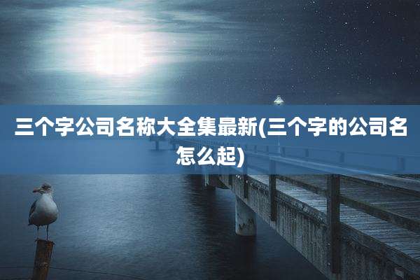三个字公司名称大全集最新(三个字的公司名怎么起)