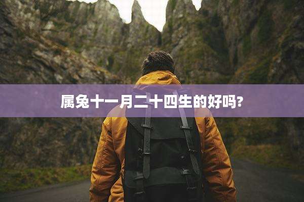 属兔十一月二十四生的好吗?