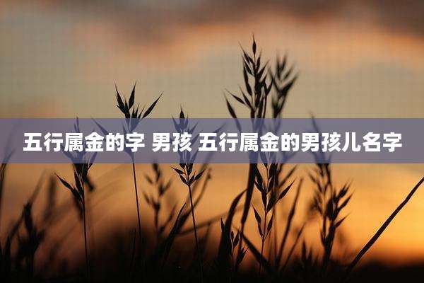 五行属金的字 男孩 五行属金的男孩儿名字