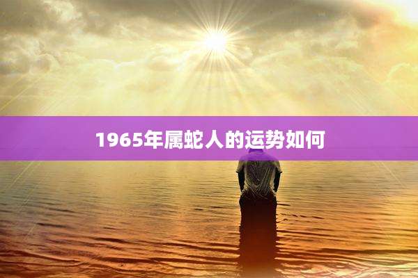 1965年属蛇人的运势如何