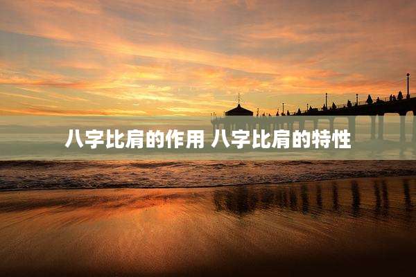 八字比肩的作用 八字比肩的特性