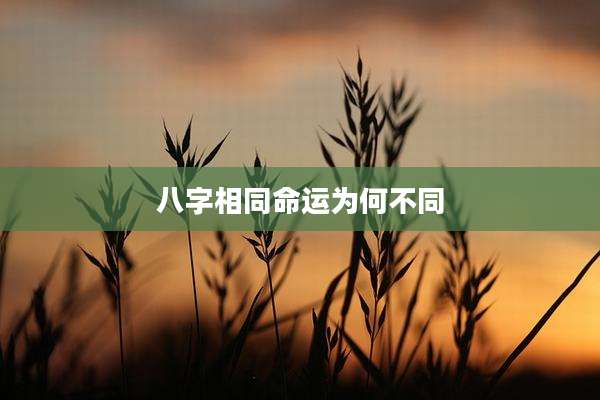 八字相同命运为何不同