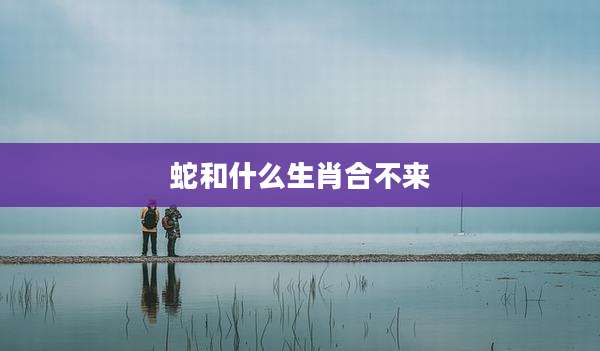 蛇和什么生肖合不来