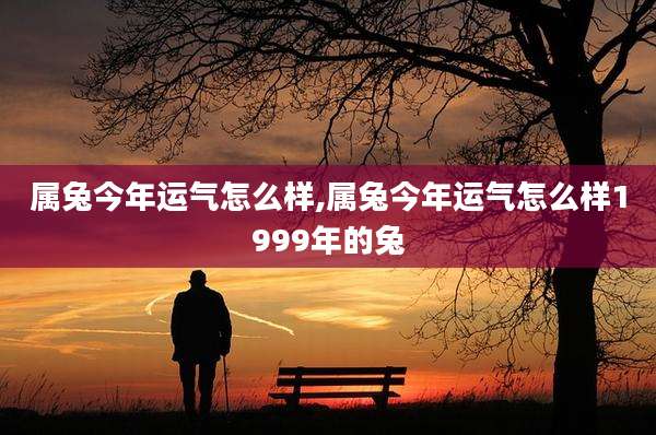 属兔今年运气怎么样,属兔今年运气怎么样1999年的兔