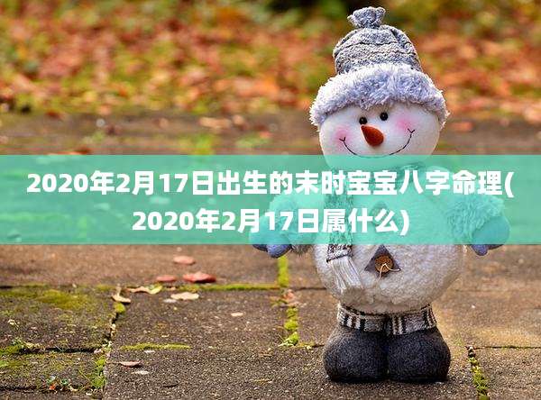 2020年2月17日出生的末时宝宝八字命理(2020年2月17日属什么)