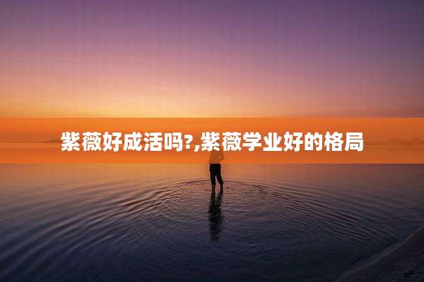 紫薇好成活吗?,紫薇学业好的格局