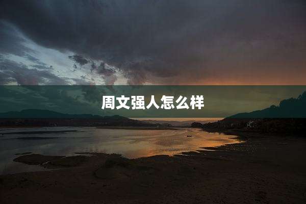 周文强人怎么样