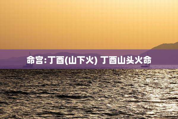 命宫:丁酉(山下火) 丁酉山头火命