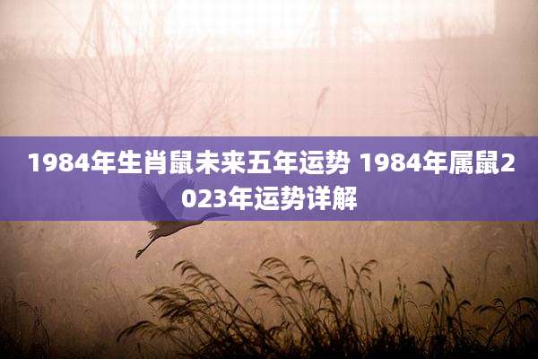 1984年生肖鼠未来五年运势 1984年属鼠2023年运势详解
