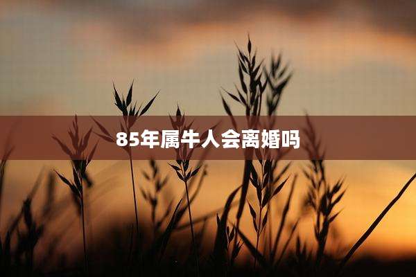 85年属牛人会离婚吗