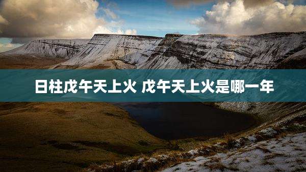 日柱戊午天上火 戊午天上火是哪一年
