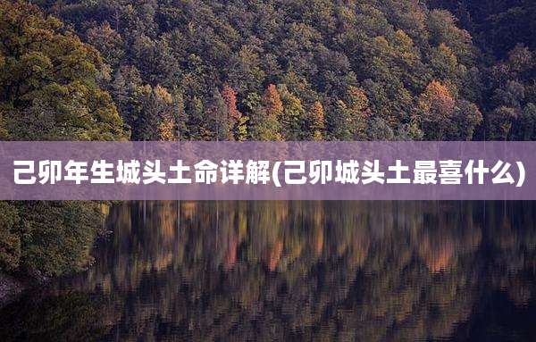 己卯年生城头土命详解(己卯城头土最喜什么)