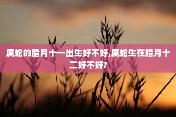 属蛇的腊月十一出生好不好,属蛇生在腊月十二好不好?
