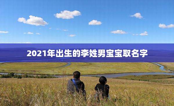 2021年出生的李姓男宝宝取名字