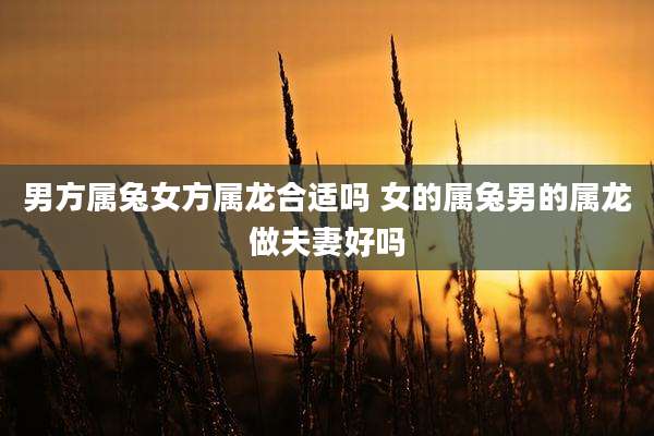 男方属兔女方属龙合适吗 女的属兔男的属龙做夫妻好吗