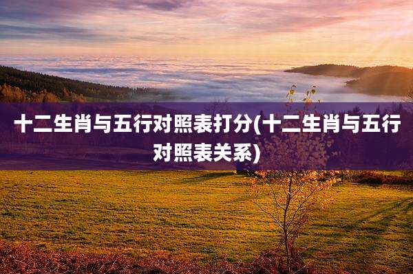 十二生肖与五行对照表打分(十二生肖与五行对照表关系)