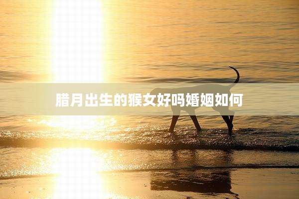 腊月出生的猴女好吗婚姻如何
