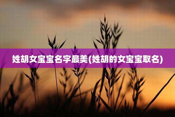 姓胡女宝宝名字最美(姓胡的女宝宝取名)