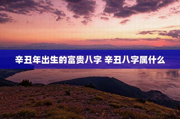 辛丑年出生的富贵八字 辛丑八字属什么