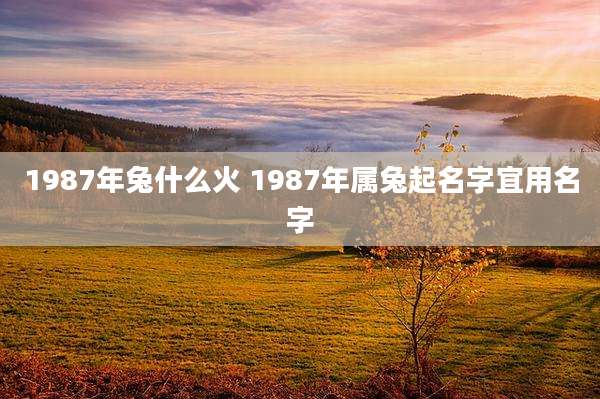 1987年兔什么火 1987年属兔起名字宜用名字