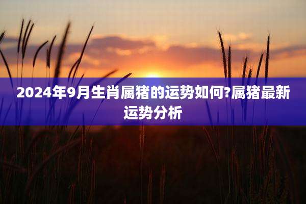 2024年9月生肖属猪的运势如何?属猪最新运势分析