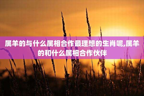 属羊的与什么属相合作最理想的生肖呢,属羊的和什么属相合作伙伴