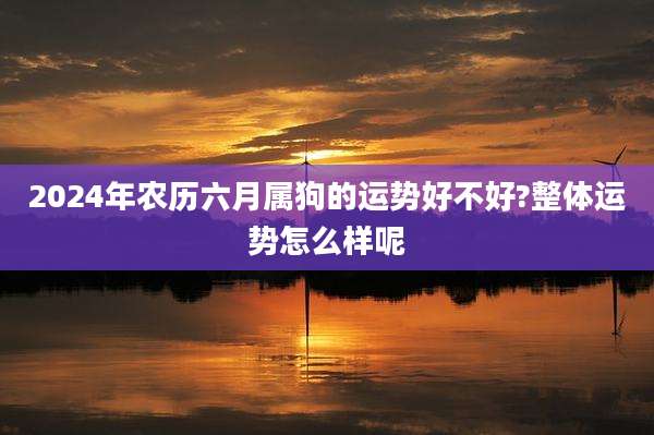 2024年农历六月属狗的运势好不好?整体运势怎么样呢