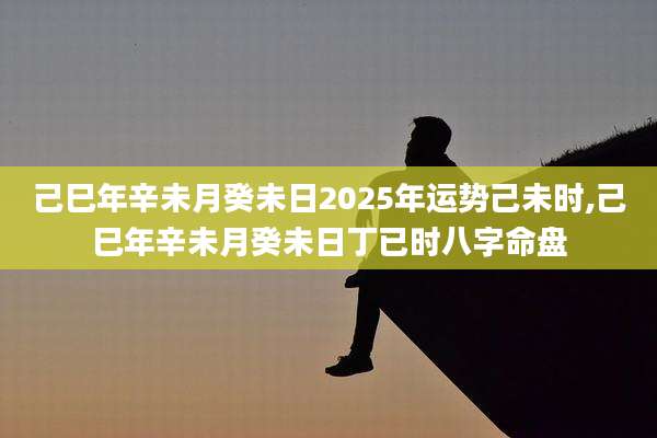 己巳年辛未月癸未日2025年运势己未时,己巳年辛未月癸未日丁已时八字命盘