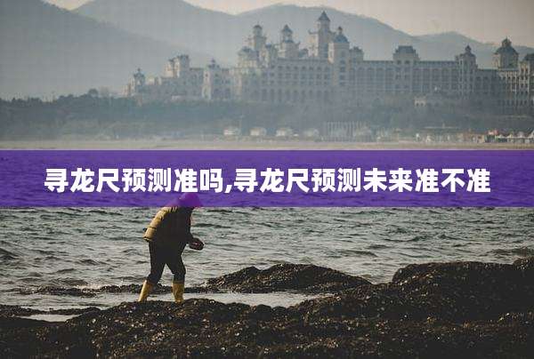 寻龙尺预测准吗,寻龙尺预测未来准不准