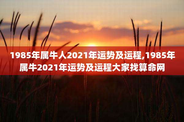 1985年属牛人2021年运势及运程,1985年属牛2021年运势及运程大家找算命网