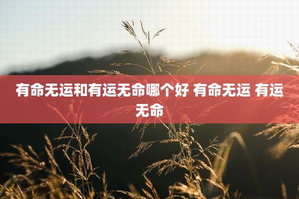 有命无运和有运无命哪个好 有命无运 有运无命