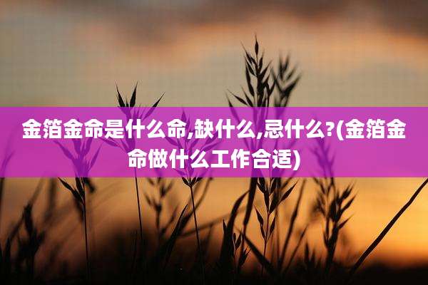 金箔金命是什么命,缺什么,忌什么?(金箔金命做什么工作合适)