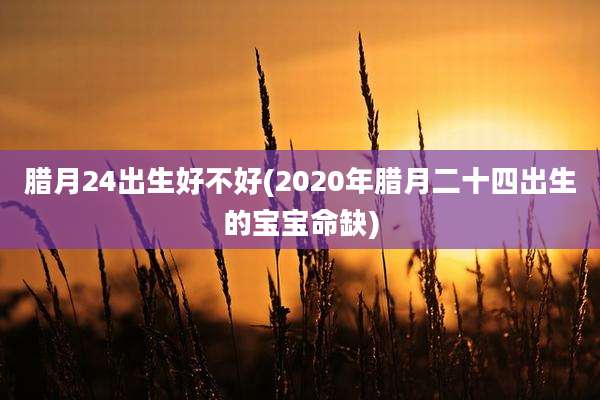 腊月24出生好不好(2020年腊月二十四出生的宝宝命缺)