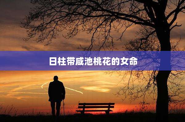 日柱带咸池桃花的女命