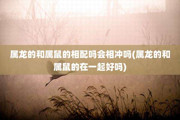 属龙的和属鼠的相配吗会相冲吗(属龙的和属鼠的在一起好吗)