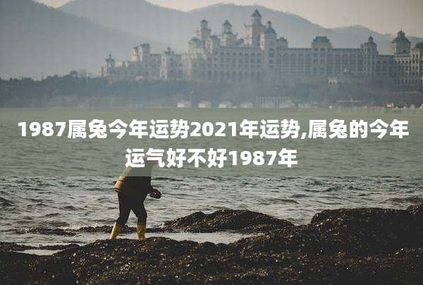 1987属兔今年运势2021年运势,属兔的今年运气好不好1987年