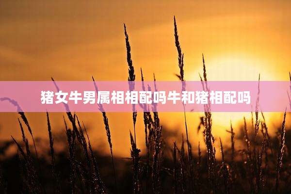 猪女牛男属相相配吗牛和猪相配吗