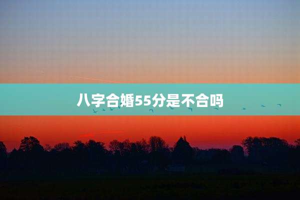 八字合婚55分是不合吗