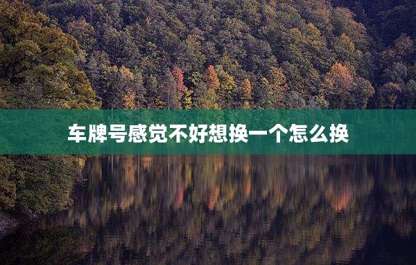 车牌号感觉不好想换一个怎么换