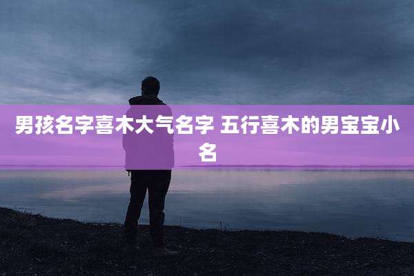 男孩名字喜木大气名字 五行喜木的男宝宝小名