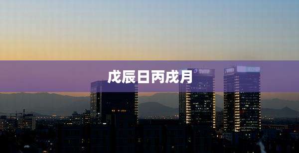 戊辰日丙戌月