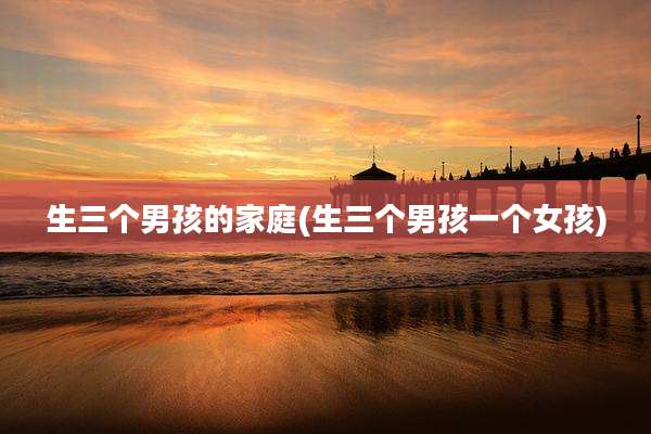 生三个男孩的家庭(生三个男孩一个女孩)