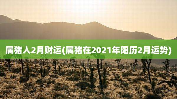 属猪人2月财运(属猪在2021年阳历2月运势)
