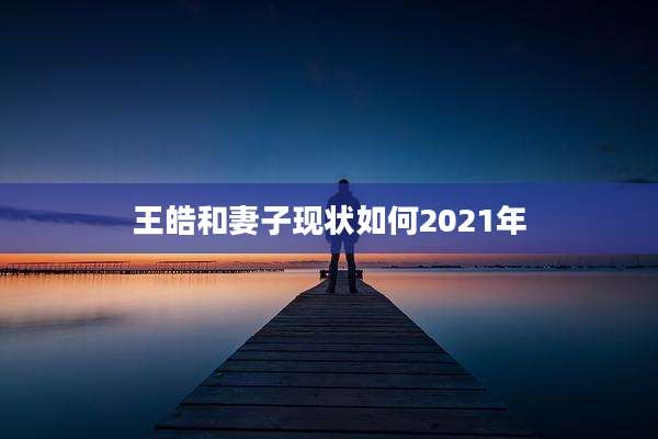 王皓和妻子现状如何2021年