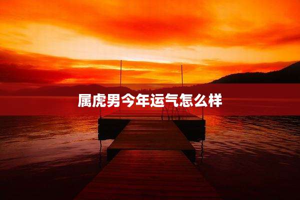 属虎男今年运气怎么样