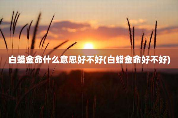 白蜡金命什么意思好不好(白蜡金命好不好)